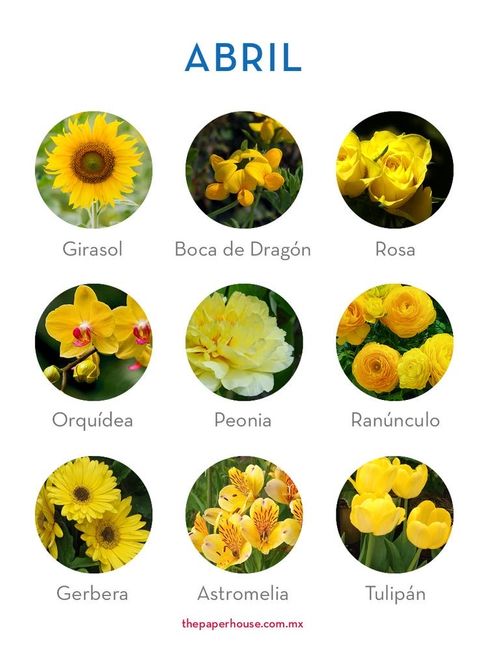 Flores de boda por mes 4