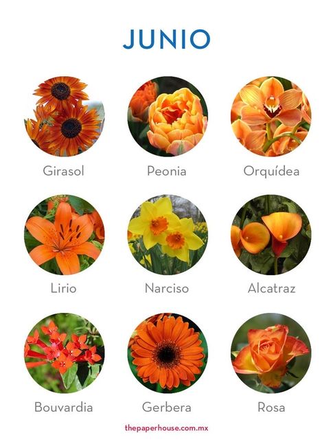 Flores de boda por mes 6