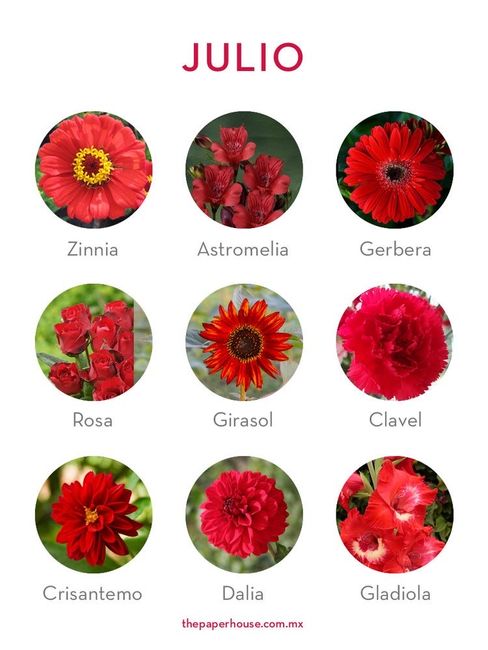 Flores de boda por mes 7