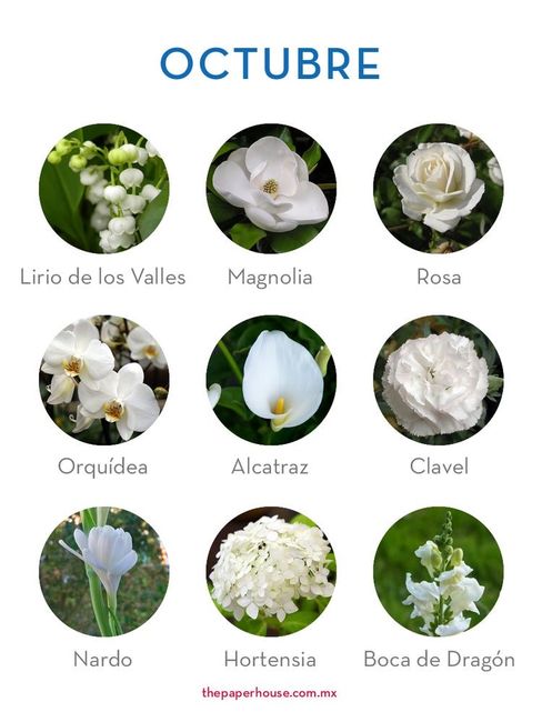Flores de boda por mes 10