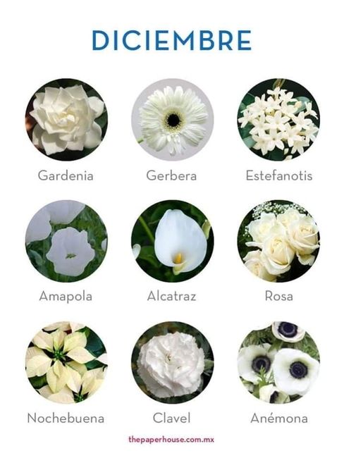 Flores de boda por mes 12