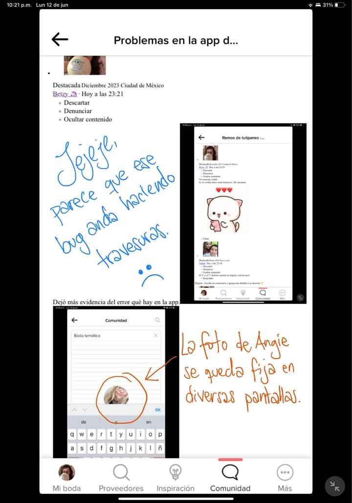 Problemas en la app desde ipad - 1
