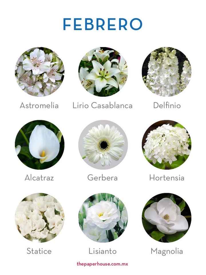 Flores de boda por mes - 2