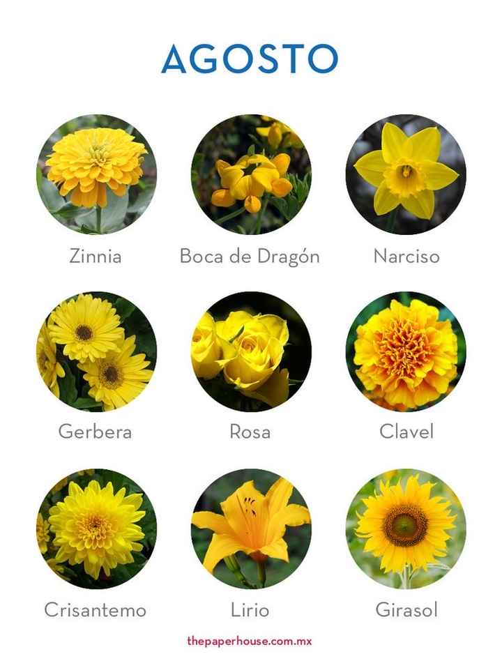 Flores de boda por mes - 8