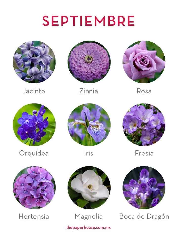 Flores de boda por mes - 9