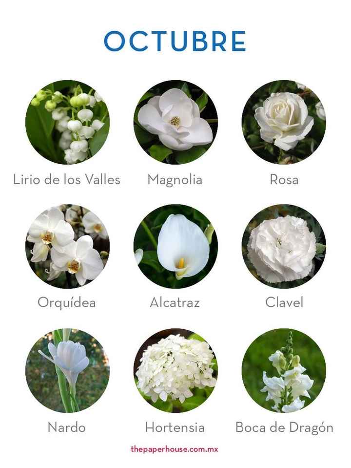Flores de boda por mes - 10