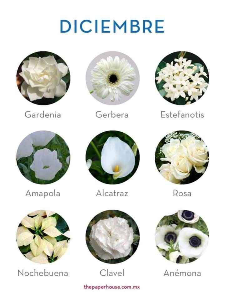 Flores de boda por mes - 12