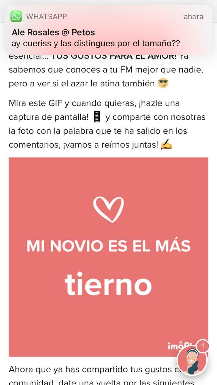 Mi novio es el más... - 1