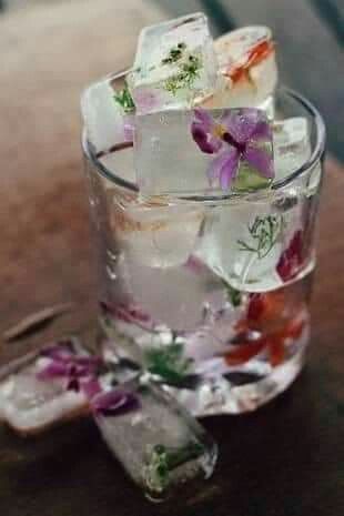 Ideas para decorar jardines - 24