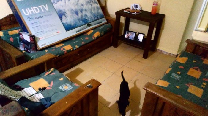 Ya me me fui a mi casa 6