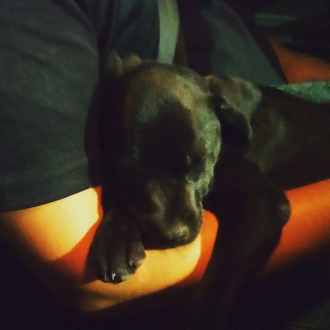 Ya me me fui a mi casa 11