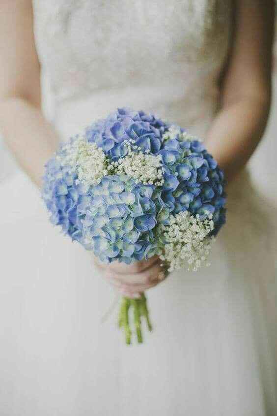 Tendencia 2018 - colores - 1