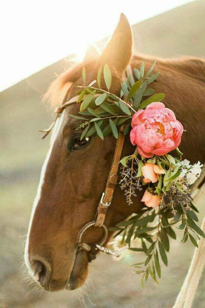 Idea de boda en rancho o finca 😍 - 2