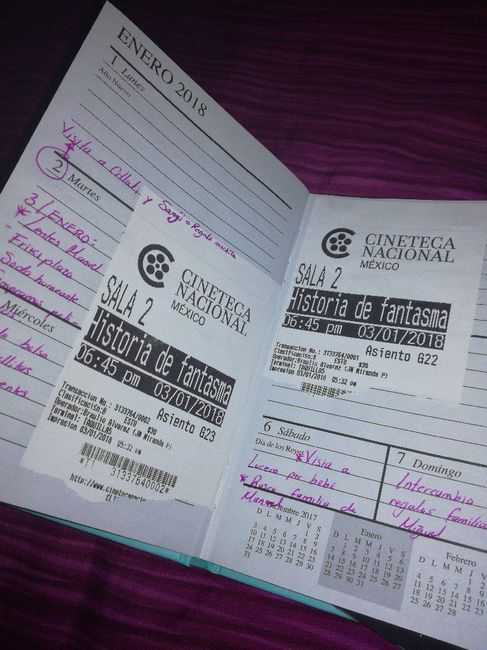 Un libro con fotos y pensamientos de toda la experiencia de prepara la boda - 2