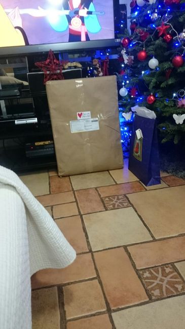 Avances a 14 días  - 1