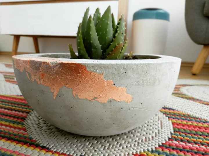 c) Una planta decorativa