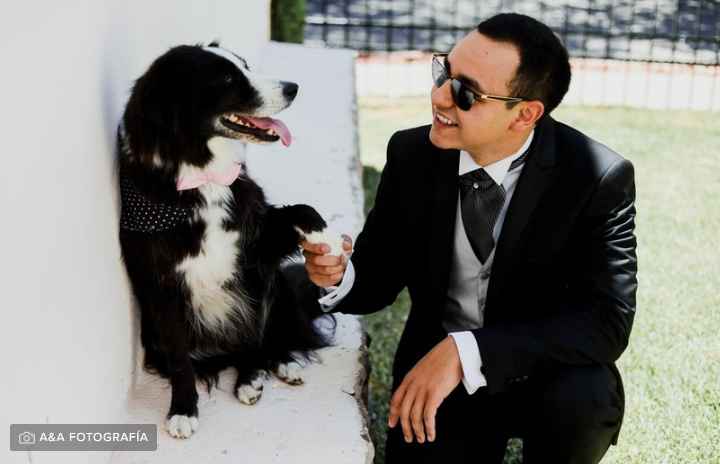 ¿Cómo se llamaba su primera mascota? - 1