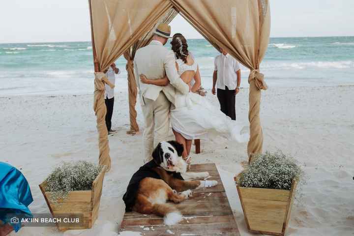 VOTA ¿Llevarías a tu mascota a la boda? - 1
