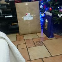 Avances a 14 días  - 1