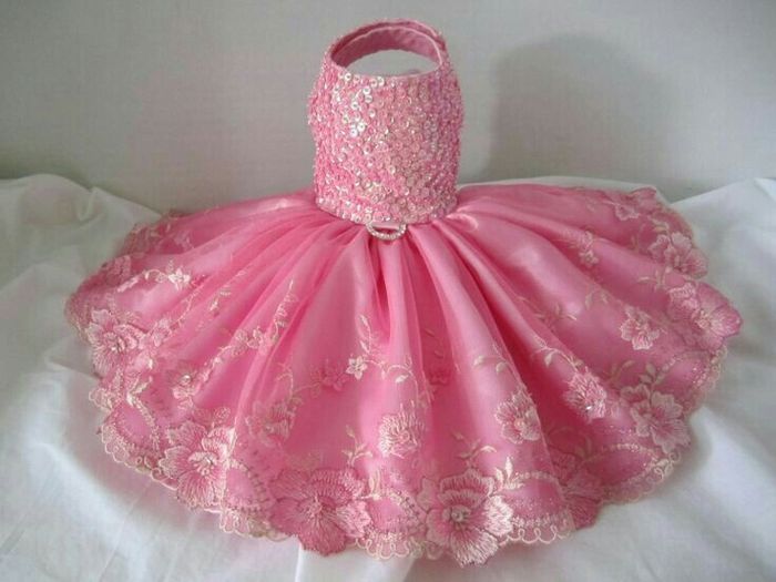 Mi perrita para paje!? - 2