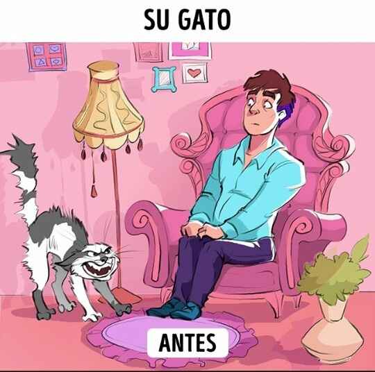 El antes y después de vivir en pareja... - 7