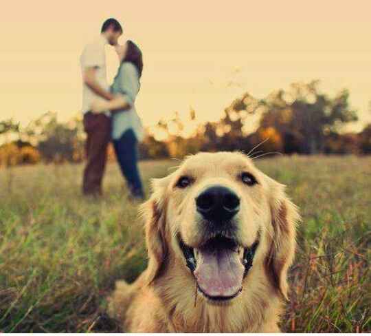 Ideas para fotos en pareja!! - 28