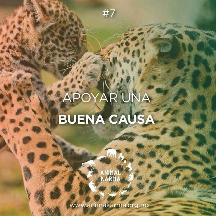 12 propósitos de año nuevo en pareja! - 8