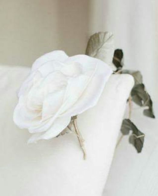 Diversos tocados!! - 10