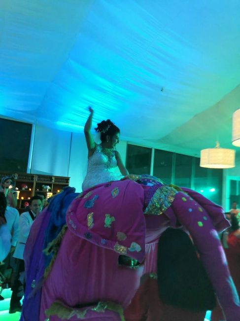 Novia en elefante rosa