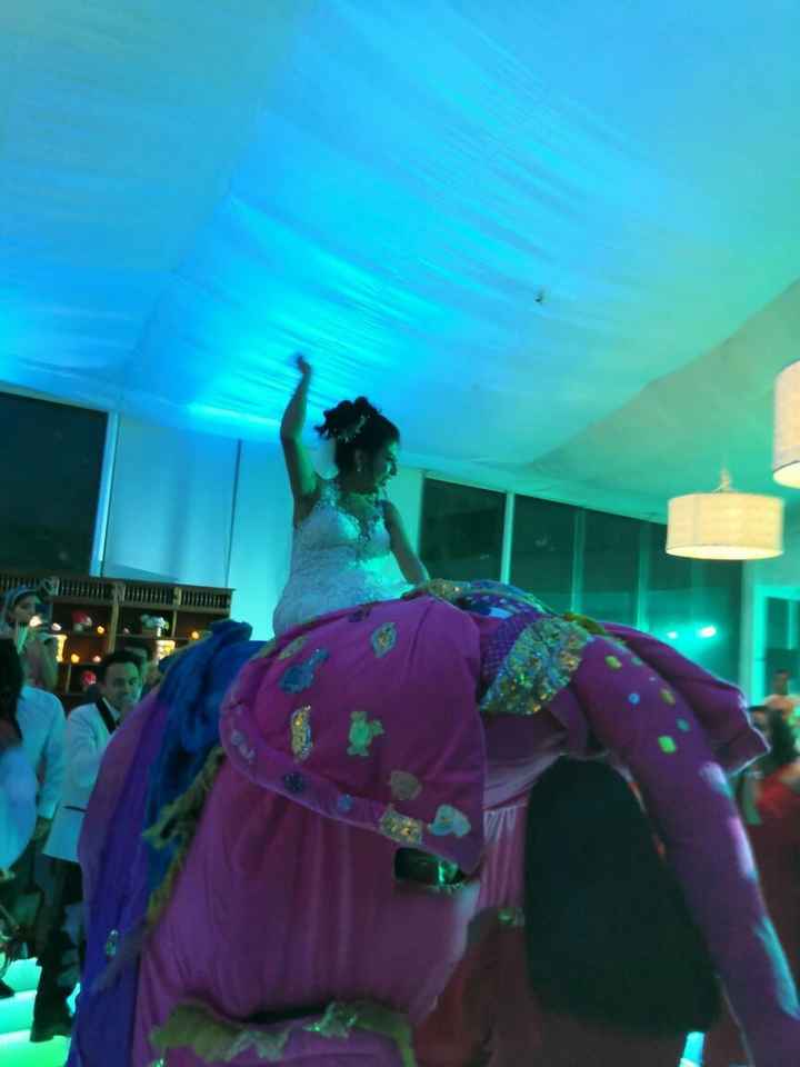 Novia en elefante rosa