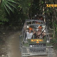 Anfibios vehiculos 