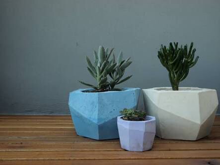 Plantitas para recuerdos - 2