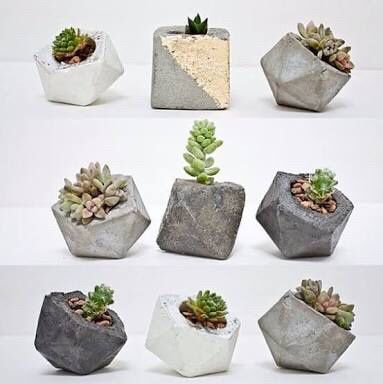 Plantitas para recuerdos - 7