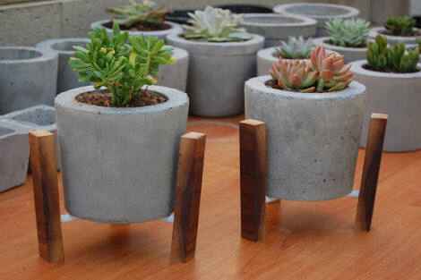 Plantitas para recuerdos - 3