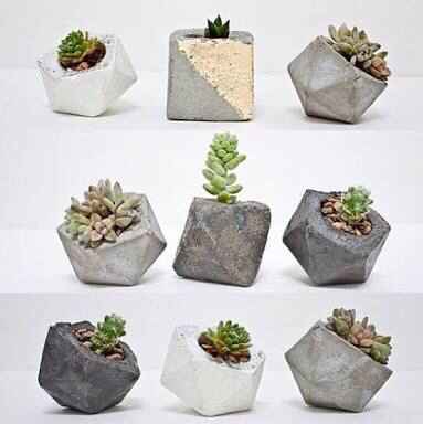 Plantitas para recuerdos - 7