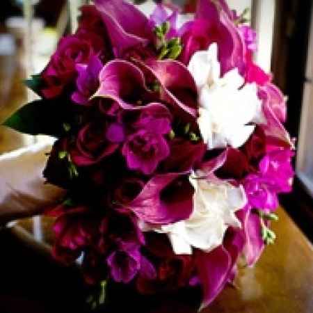 RAMO MAGENTA 