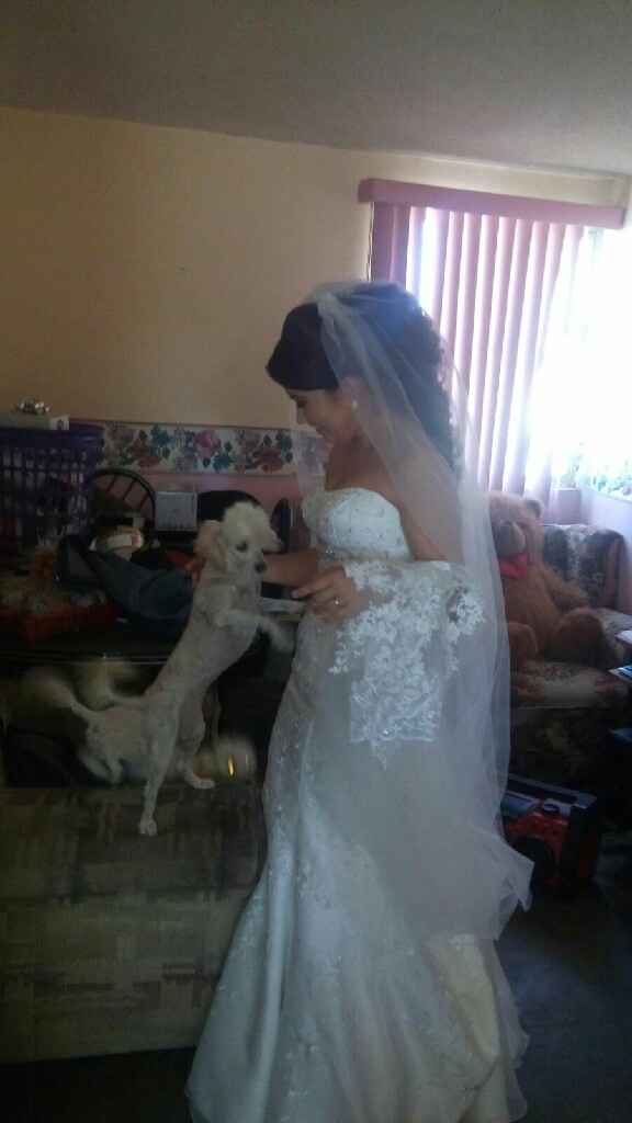 Invitados peludos!! - 1