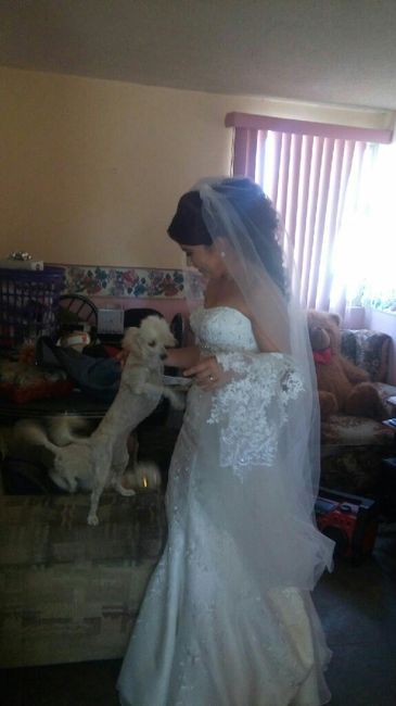 Invitados peludos!! - 1