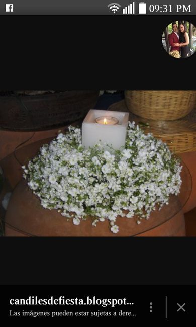 Tipos de flores económicas?? - 1