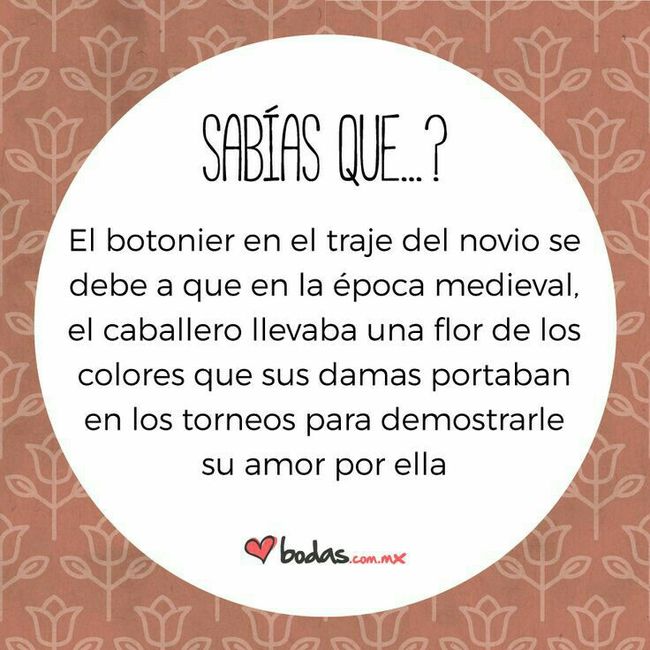  Botonier!! Sabes para qué? - 1