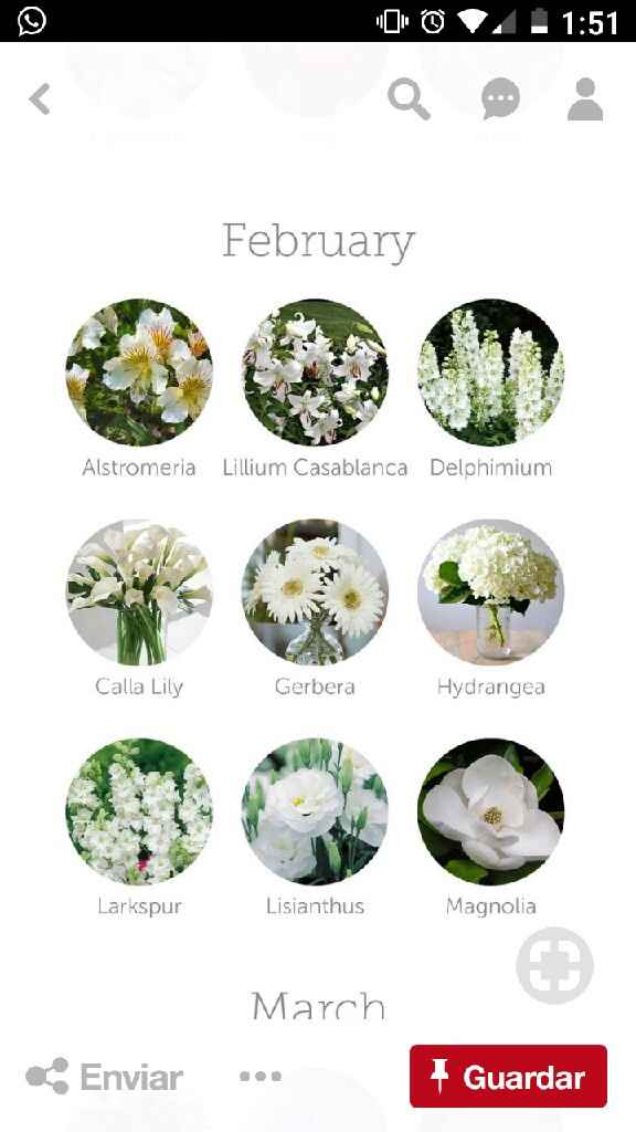  Flores dependiendo el Mes!!! 🌹 - 1
