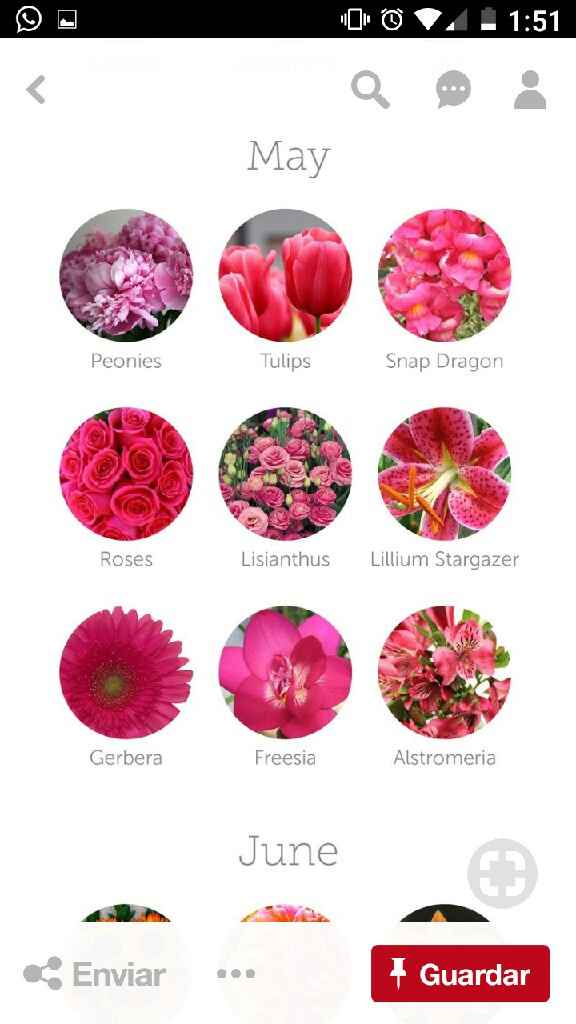  Flores dependiendo el Mes!!! 🌹 - 4