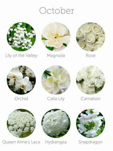  Flores dependiendo el Mes!!! 🌹 - 8