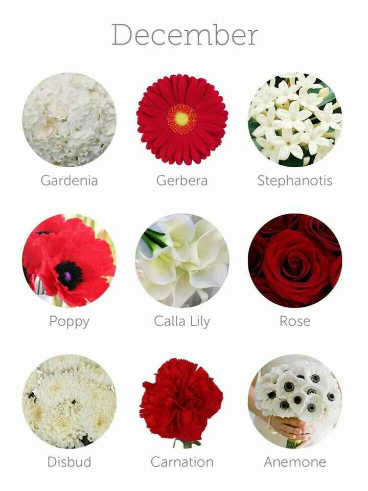  Flores dependiendo el Mes!!! 🌹 - 9
