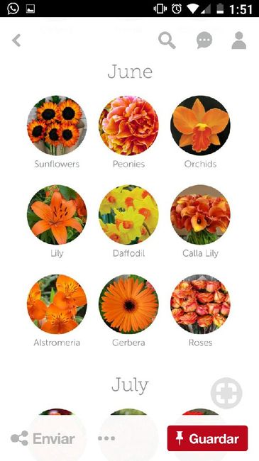  Flores dependiendo el Mes!!! 🌹 - 5