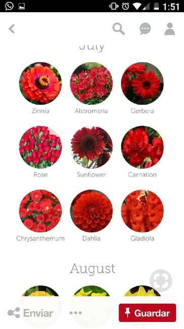  Flores dependiendo el Mes!!! 🌹 - 6