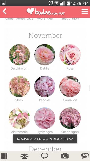 Flores para tu boda acorde al mes que te casas - 1