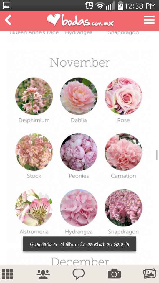 Flores para tu boda acorde al mes que te casas - 1