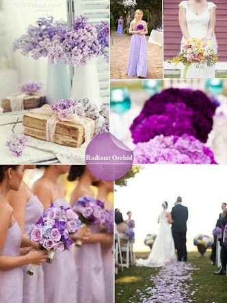 Club de la novia morada - 1