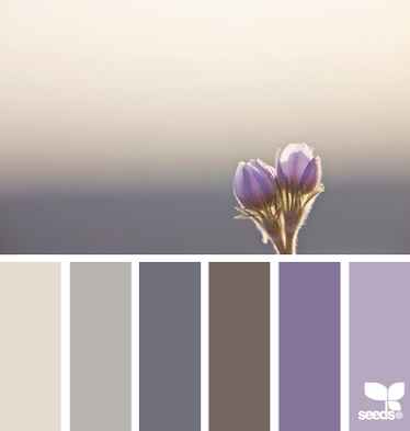 Club de la novia morada - 8